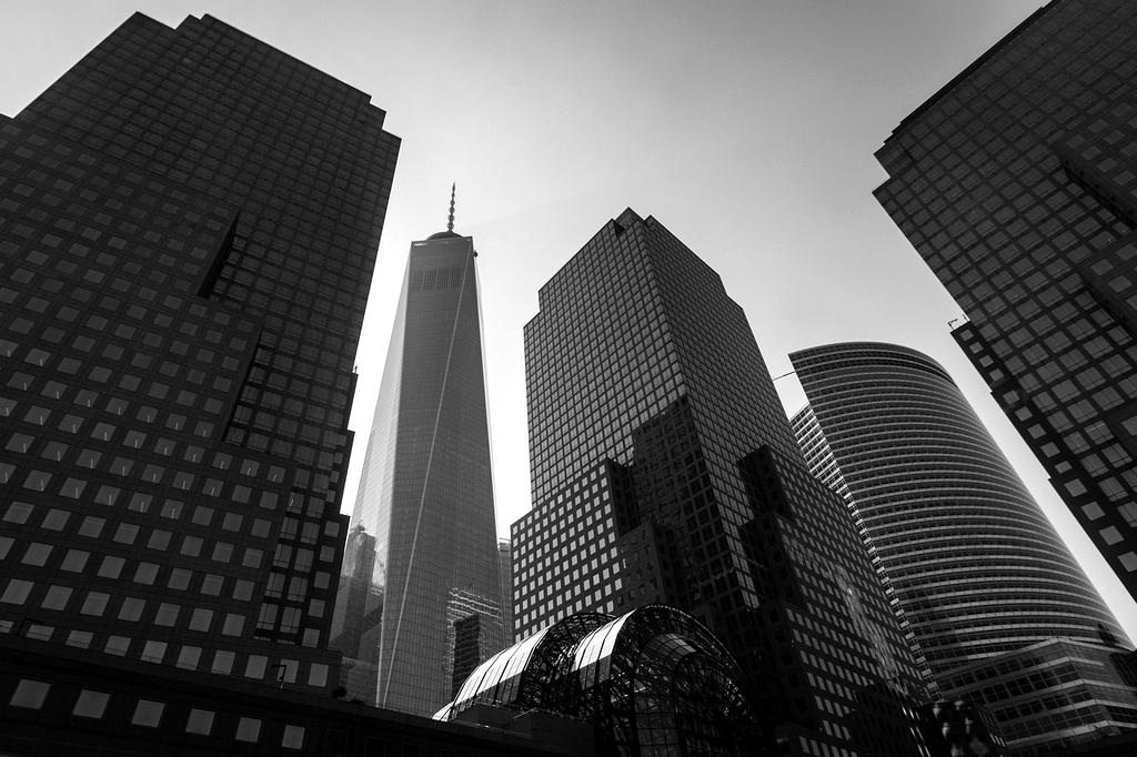 Przyjazne biuro z miejscem do pracy i roślinami